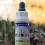 Pathara-ma 3