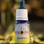 Aurora 1 - stress-eten, eetproblematiek, weinig zelfvertrouwen, zielenopdracht 