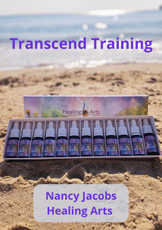 Transcend serie &amp; training (boek)