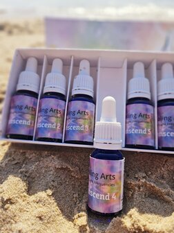Transcend 7 &amp; Training