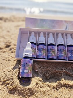 Transcend 9 &amp; Training