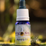 Aurora 11 - verkramping zenuwen / wervelkolom. Veilig voelen in lichaam
