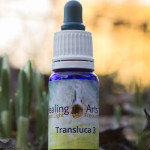 Transluca 3 - Trauma verwerking zonder beschadiging. Angst om te voelen, heling lichamelijke kwalen vanuit karma. Liefde en binding in vrijheid!