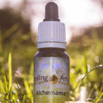 Alchemama 1