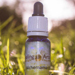 Alchemama 6 - herstel van de seksuele vrouwelijke energie