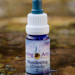 Manifesting Miracles 2