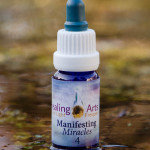 Manifesting Miracles 4