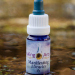 Manifesting Miracles 6