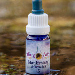 Manifesting Miracles 5