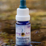 Manifesting Miracles 10