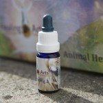 Animal Healing 2