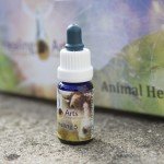 Animal Healing 5