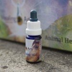 Animal Healing 10
