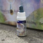 Animal Healing 12