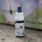 Animal Healing 6