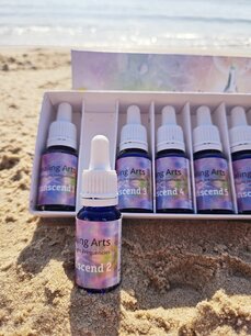 Transcend 2 & Training