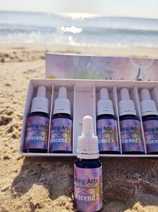 Transcend 3 & Training