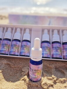 Transcend 5 & Training