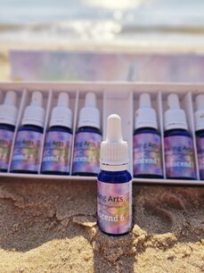 Transcend 8 & Training