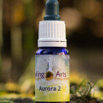 Aurora 2 - bedding, kracht en vertrouwen voor creatie, zuivert