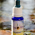 Chrystael 11