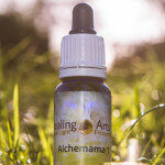 Alchemama 1 - Loslaten oude pijn van het vrouwelijke Alchemama 1 - Loslaten oude pijn van het vrouwelijke