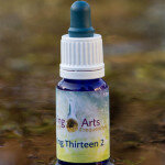 Living Thirteen 2 Living Thirteen 2