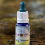 Living Thirteen 3 Living Thirteen 3