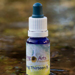 Living Thirteen 8 Living Thirteen 8