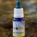 Living Thirteen 9 Living Thirteen 9