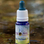 Living Thirteen 11 Living Thirteen 11