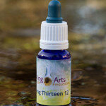 Living Thirteen 12 Living Thirteen 12