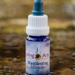 Manifesting Miracles 7