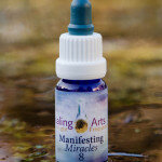 Manifesting Miracles 8