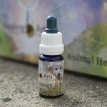Animal Healing 7 Animal Healing 7