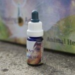 Animal Healing 10 Animal Healing 10