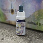 Animal Healing 11 Animal Healing 11