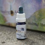 Animal Healing 6 Animal Healing 6